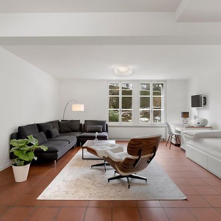 Cozy Boutique Apartment At Mt. Rigi Goldau Luaran gambar