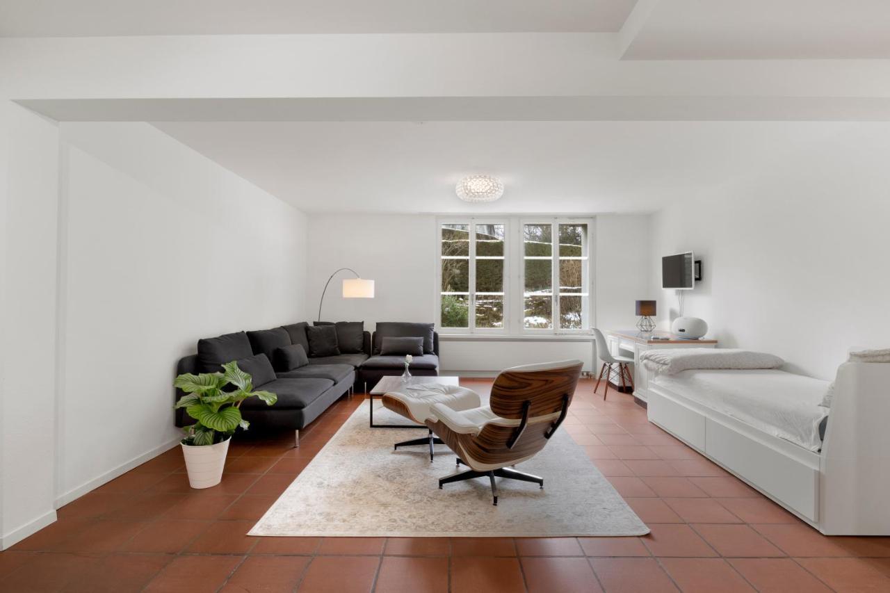 Cozy Boutique Apartment At Mt. Rigi Goldau Luaran gambar